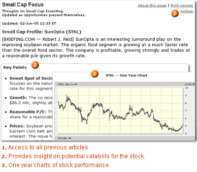 Small Cap Focus