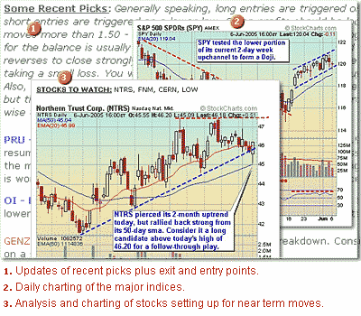 Swing Trader