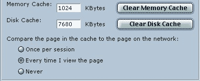 Clear Disk Cache